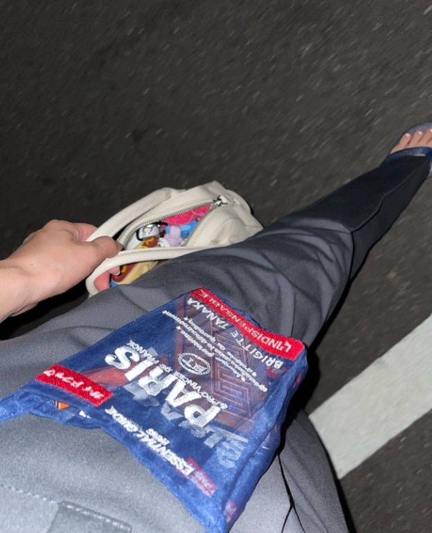 ORGANZA PHONE BAG PARIS MAP