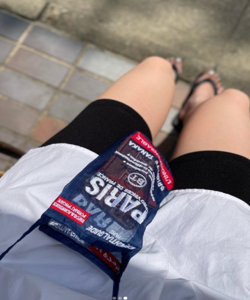 ORGANZA PHONE BAG PARIS MAP