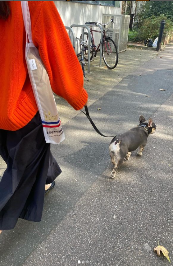 ORGANZA BAGUETTE LARGE