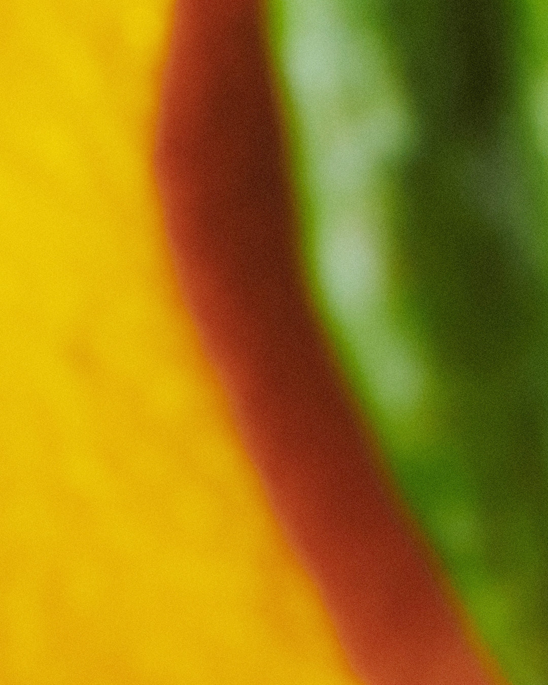 TAKE ME HOME Body Cleanser 250 ML