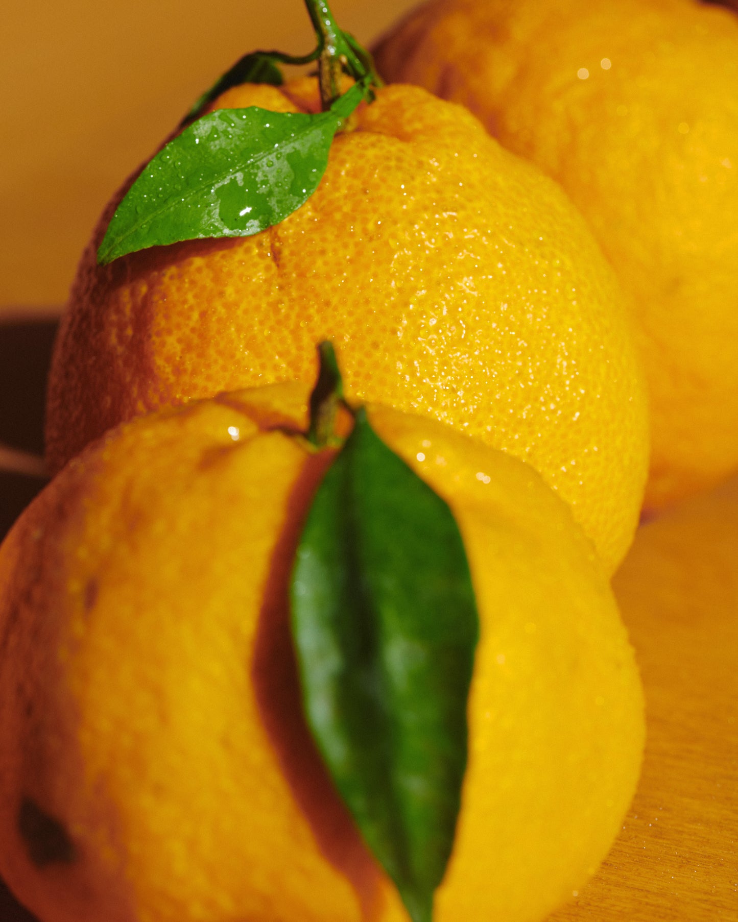 TAKE ME HOME Hand Wash 300 ML