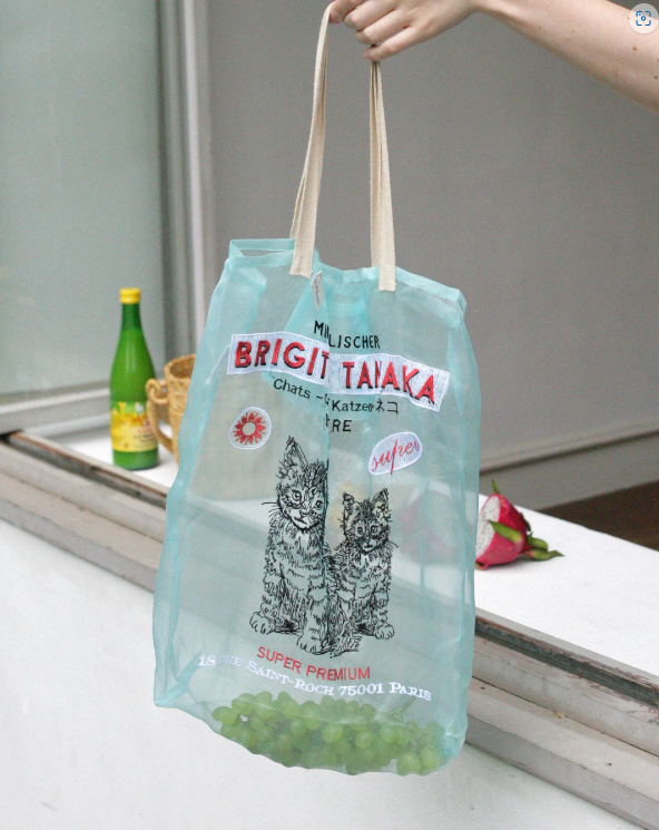 CATS BAG IN ORGANZA WITH EMBROIDERIES